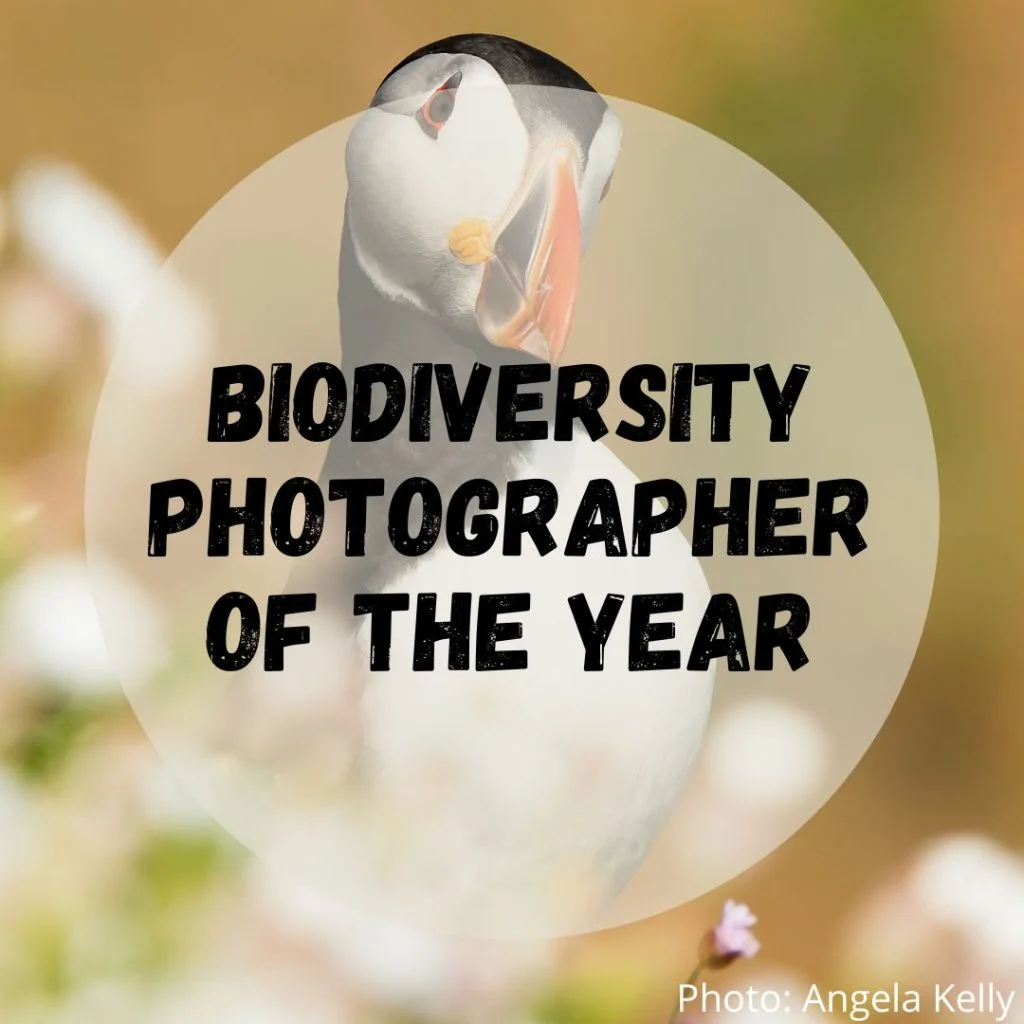 National Biodiversity Week - Biodiversity Photographer of the Year graphic