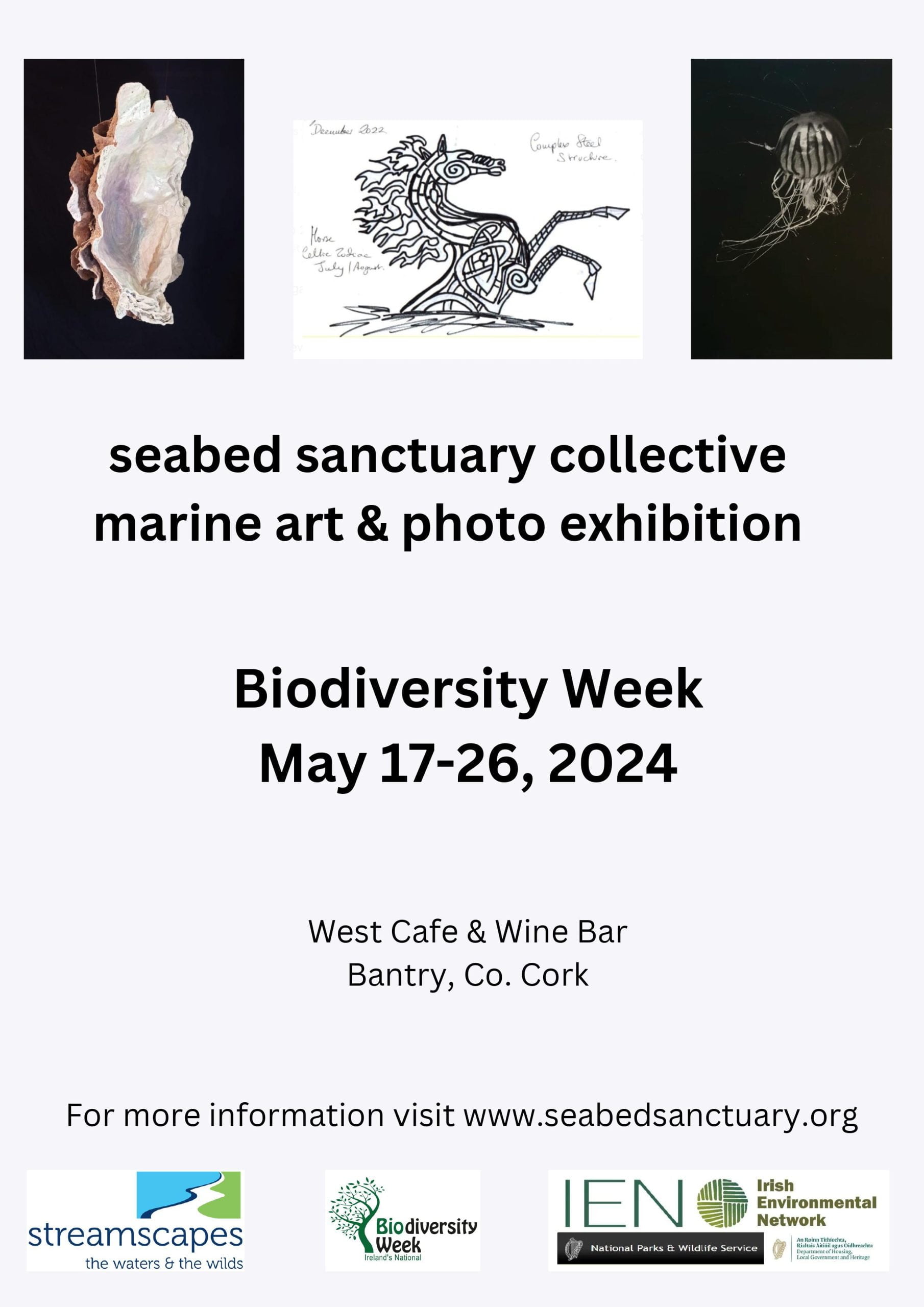 Seabed Sanctuary Collective - Marine Art & Photo Exhibition