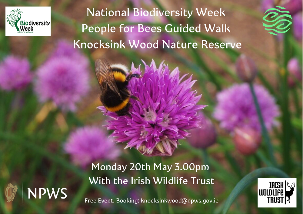 IWT People for Bees at Knocksink Woods