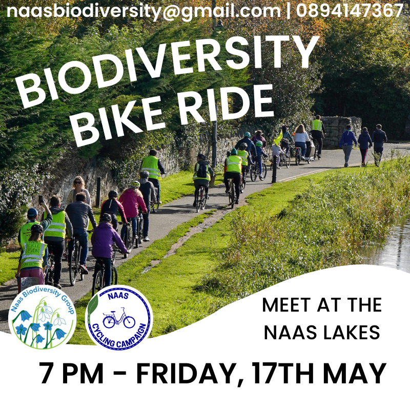 Naas Biodiversity Bike Ride