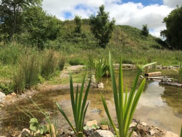 FAMILY EVENT EXPLORING BIODIVERSITY AND NATURE CRAFTING