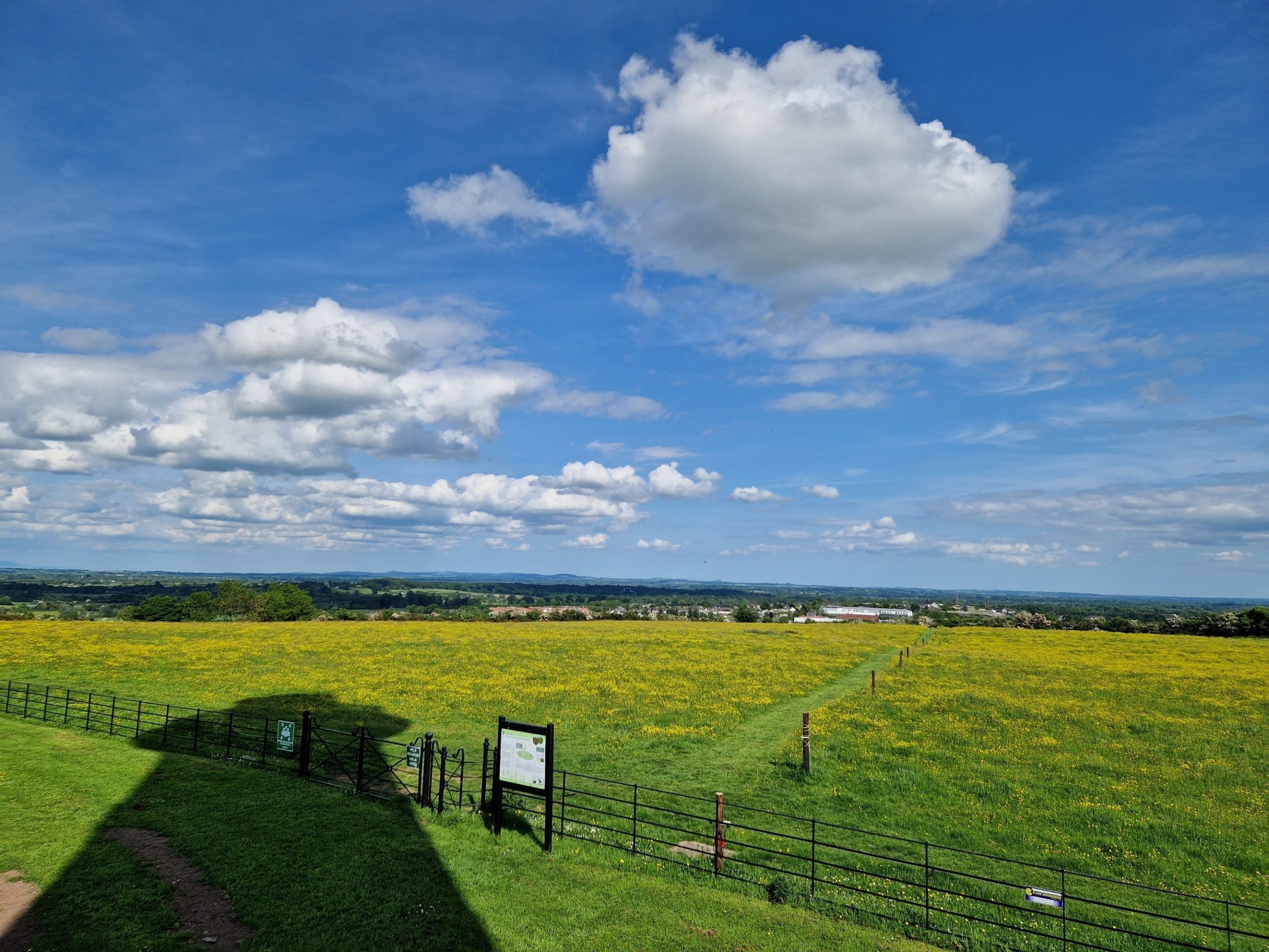 Commons of Lloyd Meadow Walk