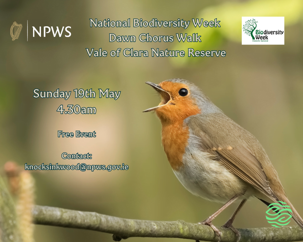 Dawn Chorus Walk - Vale of Clara Nature Reserve