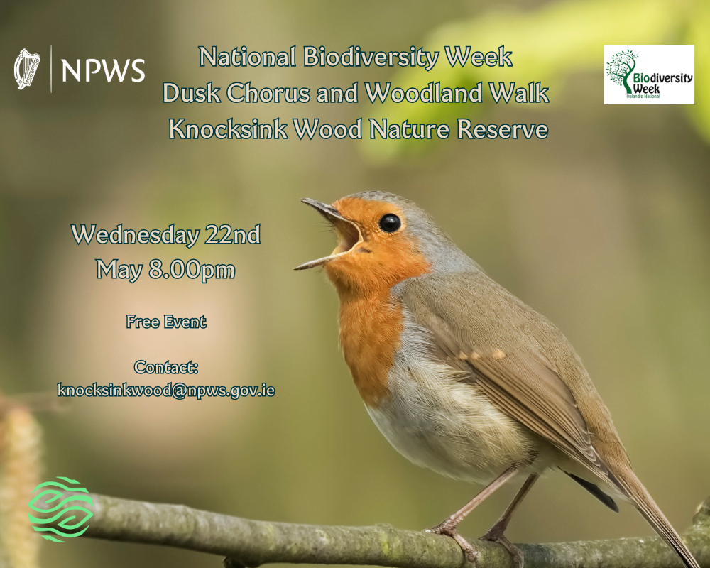 Dusk Chorus and Woodland Walk - Knocksink Wood