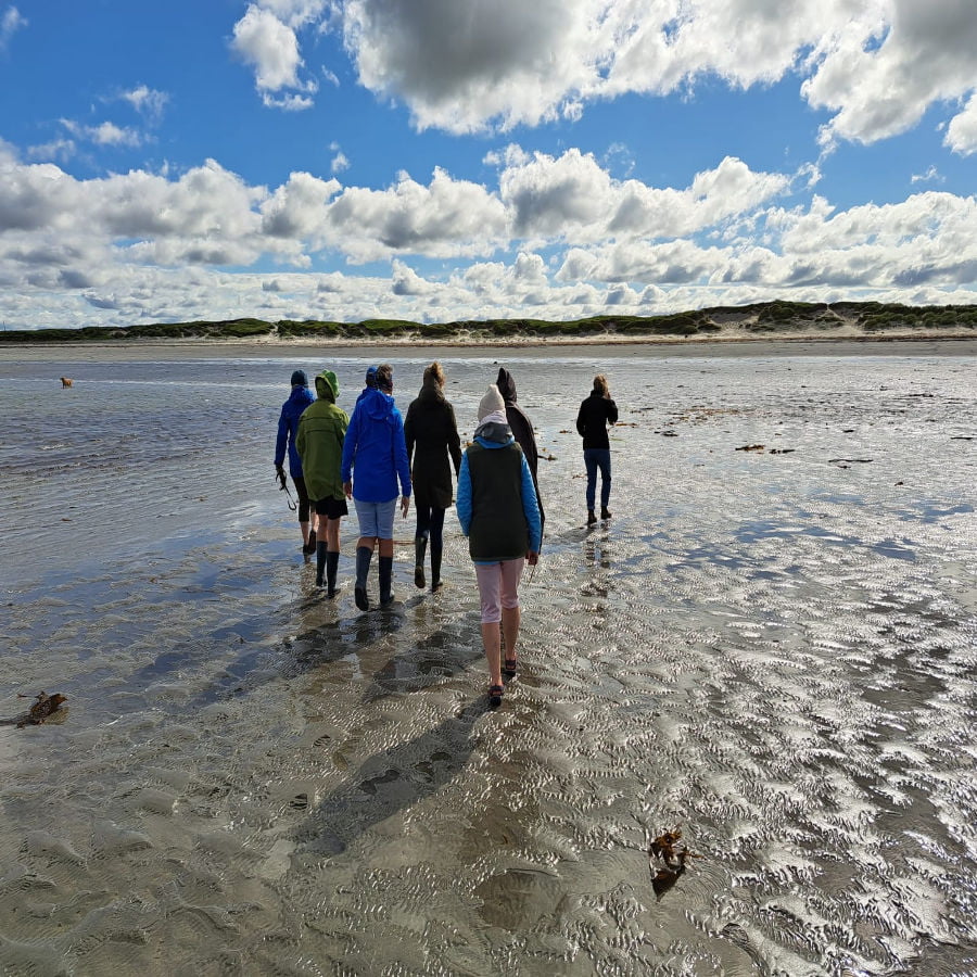 Ecology of Rock Pools and Seagrass with Coastwatch