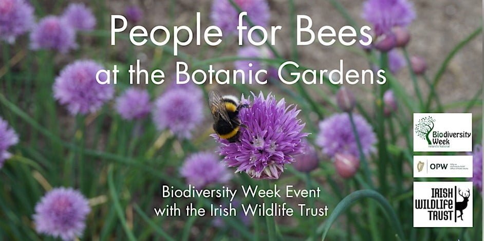 People for Bees - National Botanic Garden