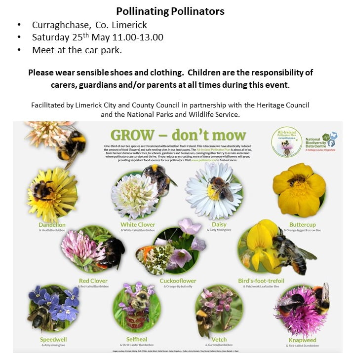 Pollinating Pollionators