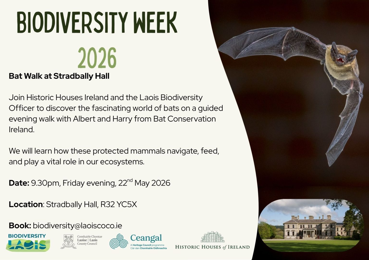 Bat walk at Stradbally Hall - National Biodiversity Week