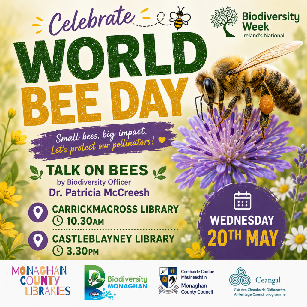 All About Bees!!! - National Biodiversity Week